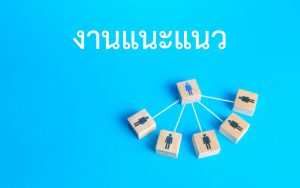 งานแนะแนว